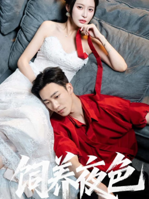 饲养夜色（86集）最热短剧推荐