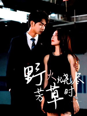 野火烧尽芳草时(65集) 野火烧尽芳草时(65集)一口气追完全集