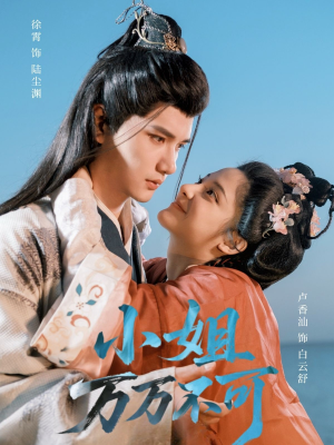 小姐万万不可（74集）百度网盘在线看