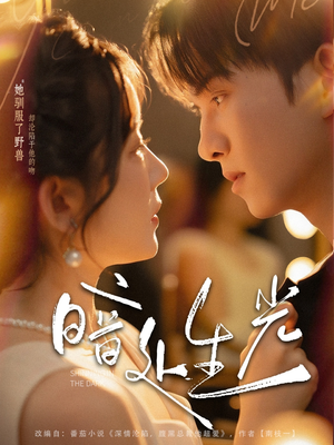 暗处生光（82集）在线看完整版