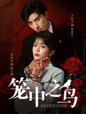 笼中之鸟（70集）免费热门短剧