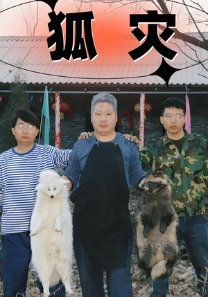 狐灾（25集）独家资源免费看