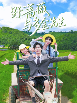 野蔷薇与多金先生（63集）短剧全集免费看