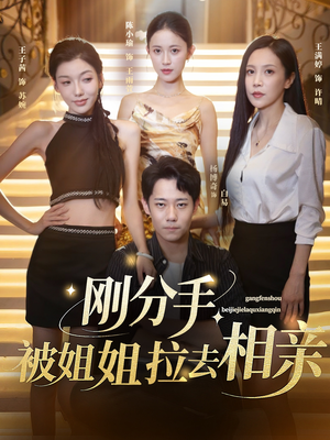 分手被姐姐拉去相亲（73集）免费看全网短剧