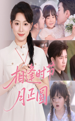 相逢时节月正圆（54集）超爽短剧推荐