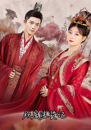 秋宸选贤记（100集）评价怎么样