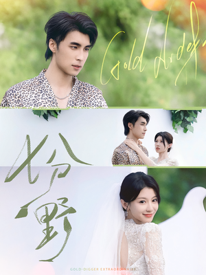 七分野（78集）视频在线看