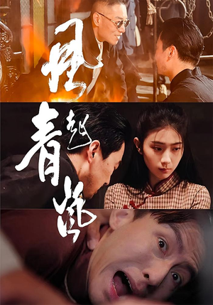 风起青岚（96集）短剧热播中