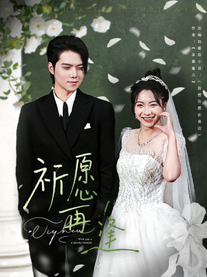 祈愿再逢（80集）看精彩短剧