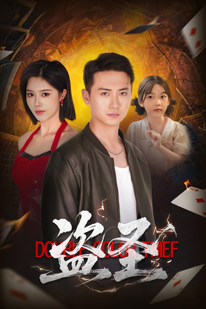 盗圣（63）精彩短剧合集