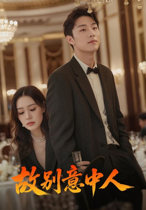 故别意中人（68集）网盘在线观看