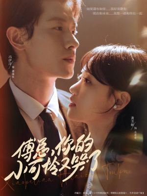 傅总你的小可怜又哭了（80集）精彩短剧合集