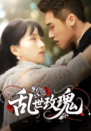 乱世玫瑰（73集）短剧热播中