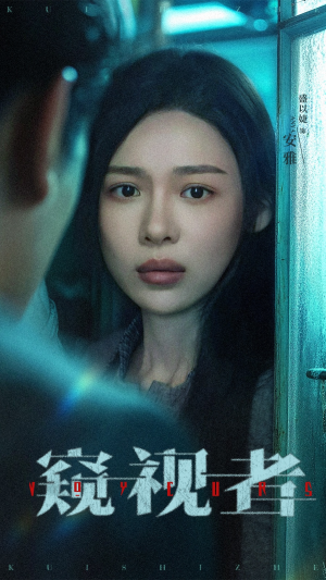 窥视者（50集）直接追到结尾