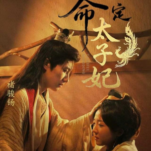 命定太子妃（63集）古装短剧推荐