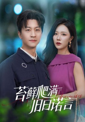 情途难负（83集）今日短剧分享