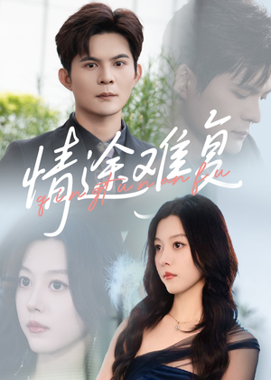 情途难复（50集）精彩好看的短剧