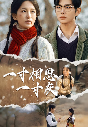 一寸相思一寸灰（43集）推荐你们也去看