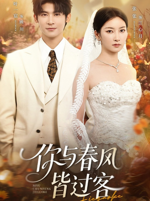 你与春风皆过客（66集）超火短剧抢先看