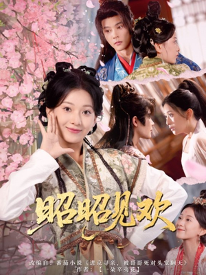 昭昭见欢（66集）好看短剧看不停