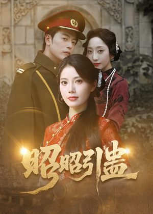 昭昭引蛊（42集）红果短剧看全集