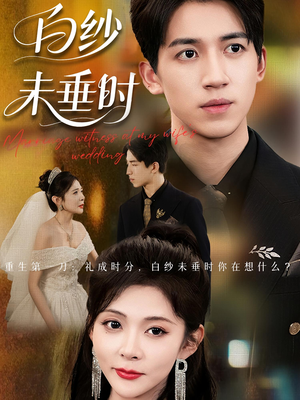 老婆婚礼，我当证婚人（54集）古装短剧热播