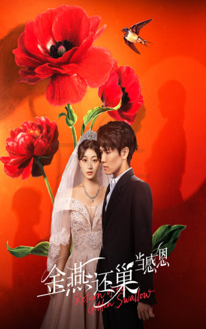 金燕还巢当感恩（55集）短剧解说全集