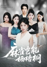 麻雀岂能栖梧桐（31集）精彩短剧热播