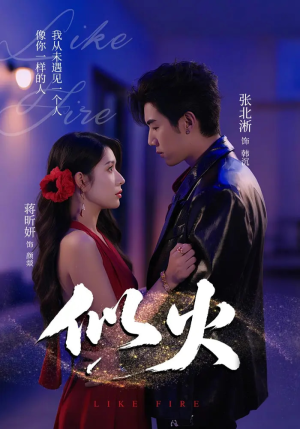似火（80集）好看上头的短剧