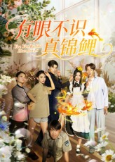 有眼不识真锦鲤（35集）在线观看完整版