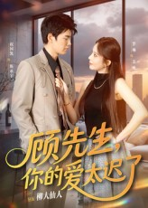 顾先生你的爱太迟了(60集) 顾先生你的爱太迟了(60集)精彩短剧片段