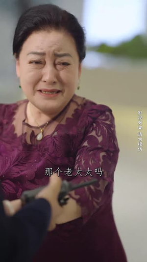 以家人的名义（35集）河马免费短剧