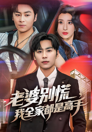 婆别慌我全家都是高手（58集）爆款短剧抢先看