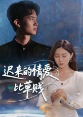 迟来的情爱比草贱（46集）更新时间一览表