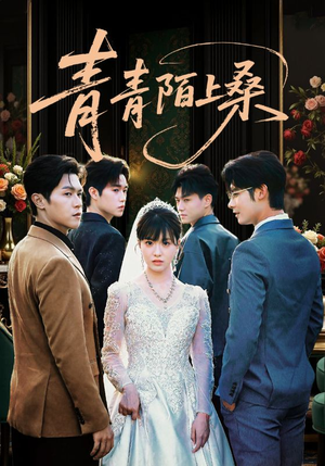 青青陌上桑（70集）番茄免费短剧