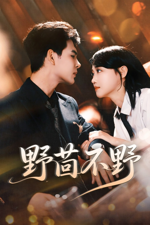 野茴不野（67集）追短剧太上头了