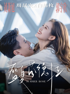 盛夏芬德拉（82集）热门短剧在线看