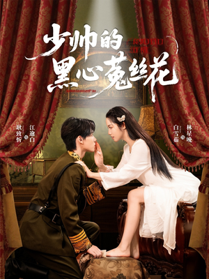 少帅的黑心菟丝花（60集）全集在线看