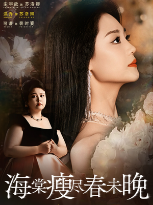 海棠瘦尽春未晚（62集）完整版