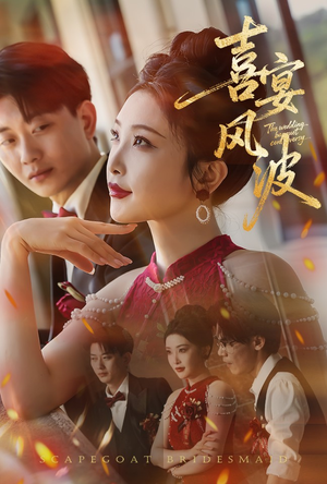 喜宴风波&替罪伴娘(30集) 喜宴风波&替罪伴娘(30集)一口气看完全集
