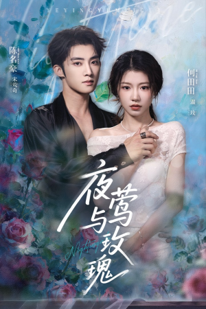 夜莺与玫瑰（66集）全集一次看完