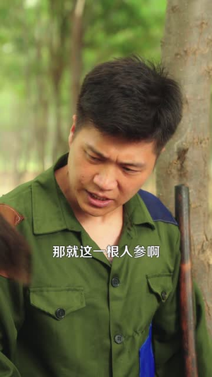 七零福宝三岁半能掐也会算（85集）在线观看完整版