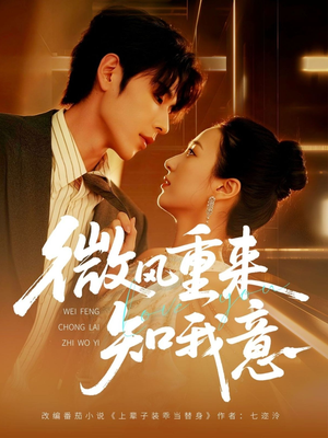微风重来知我意（62集）热门爆款短剧