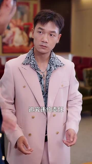 都市一品傻婿 (96集)短剧太好看