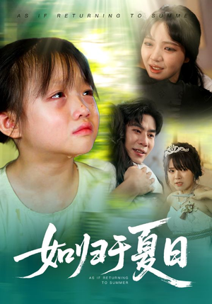 如归于夏日（65集）热门短剧追到爽