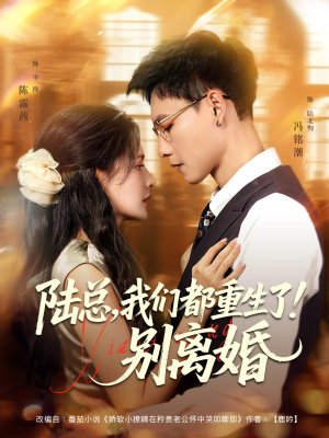 陆总我们都重生了别离婚（79集）不用花钱看全剧