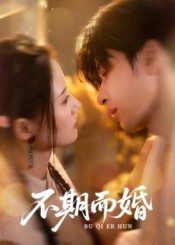 不期而婚(76集) 不期而婚(76集)在线看免费版