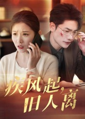 疾风起旧人离（32集）番茄免费短剧