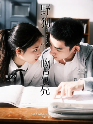 野狗吻月亮（68集）超爽短剧推荐