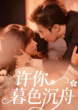 许你暮色沉舟（64集）免费看